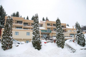 Гостиница Hotel Javor  Кушићи